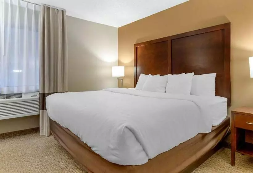 سوئیت با تخت بزرگ, Comfort Inn