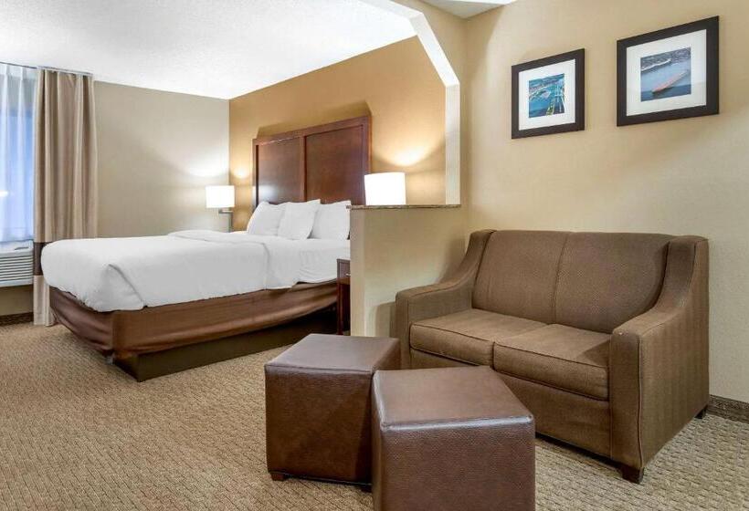 Люкс Кровать Кинг, Comfort Inn