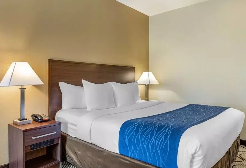 اتاق استاندارد با تخت دوبل, Comfort Inn & Suites Orange County John Wayne Airport