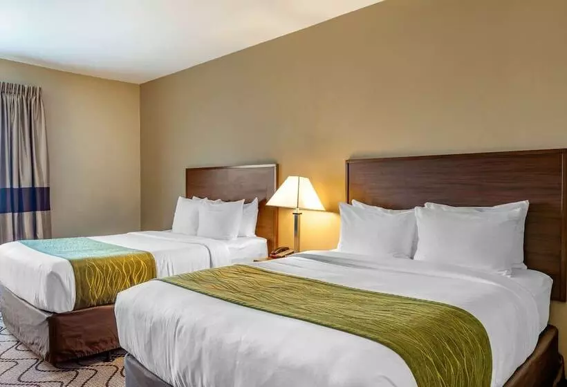 اتاق استاندارد با 2 تخت دوبل, Comfort Inn & Suites Orange County John Wayne Airport