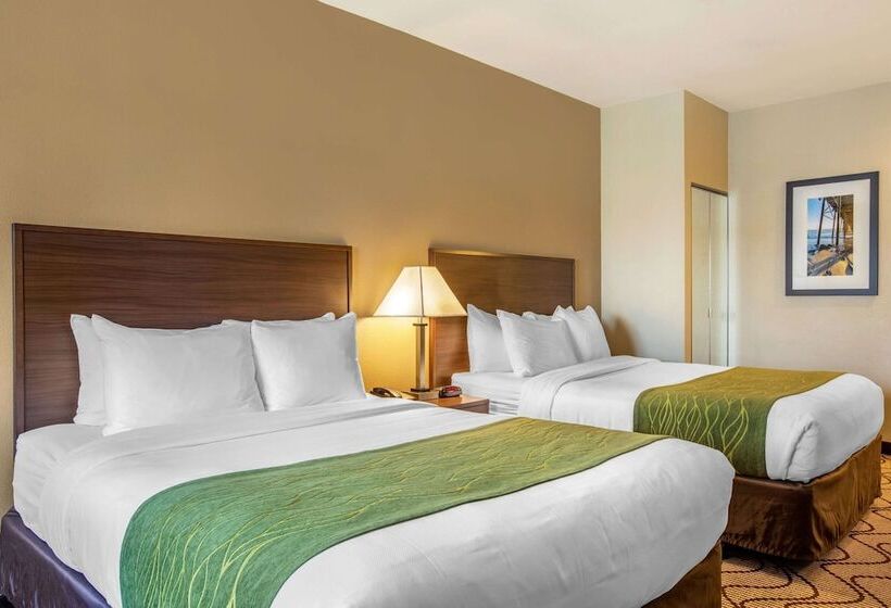 غرفه قياسيه سريرين مزدوجين, Comfort Inn & Suites Orange County John Wayne Airport