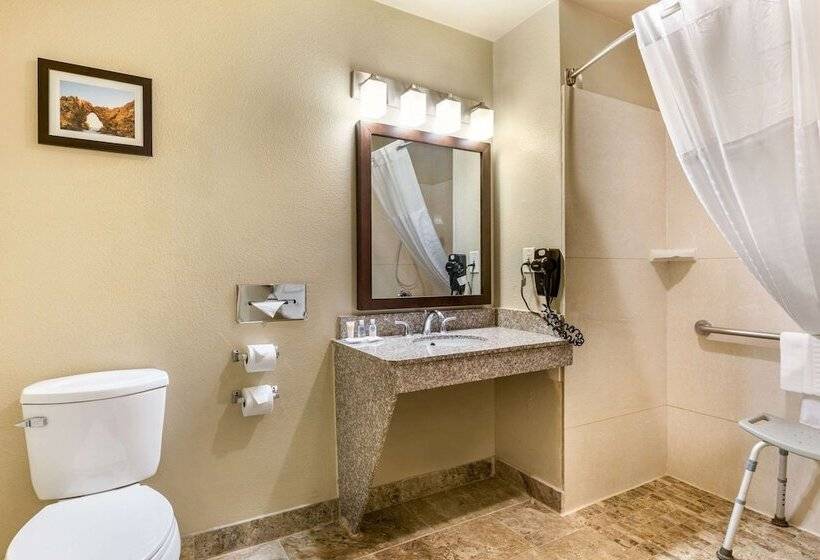 غرفة قياسية سرير كينج لذوى الإحتياجات الخاصة, Comfort Inn & Suites Orange County John Wayne Airport