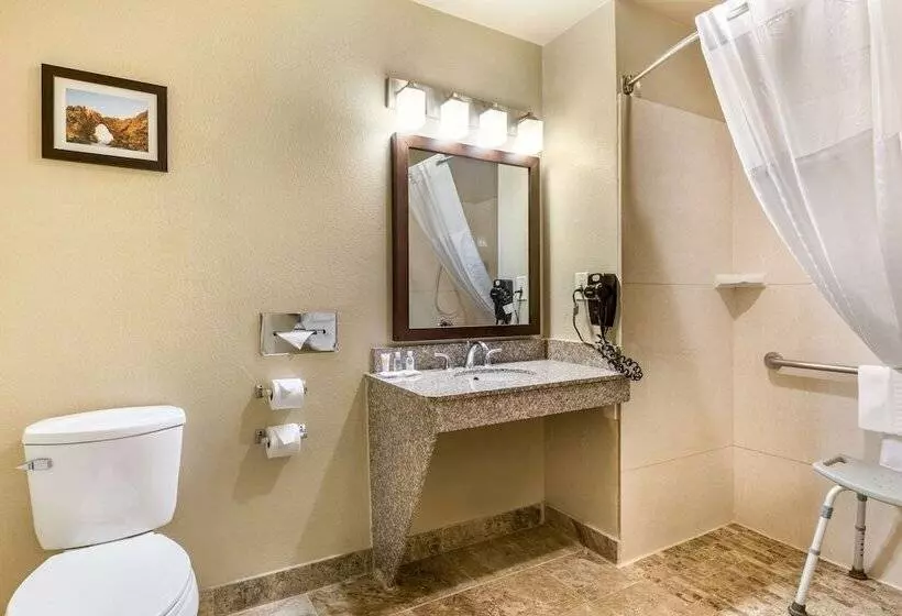 اتاق استاندارد با تخت بزرگ برای معلولان, Comfort Inn & Suites Orange County John Wayne Airport