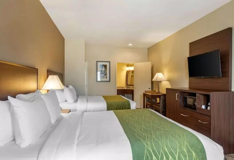 اتاق استاندارد با تخت بزرگ برای معلولان, Comfort Inn & Suites Orange County John Wayne Airport