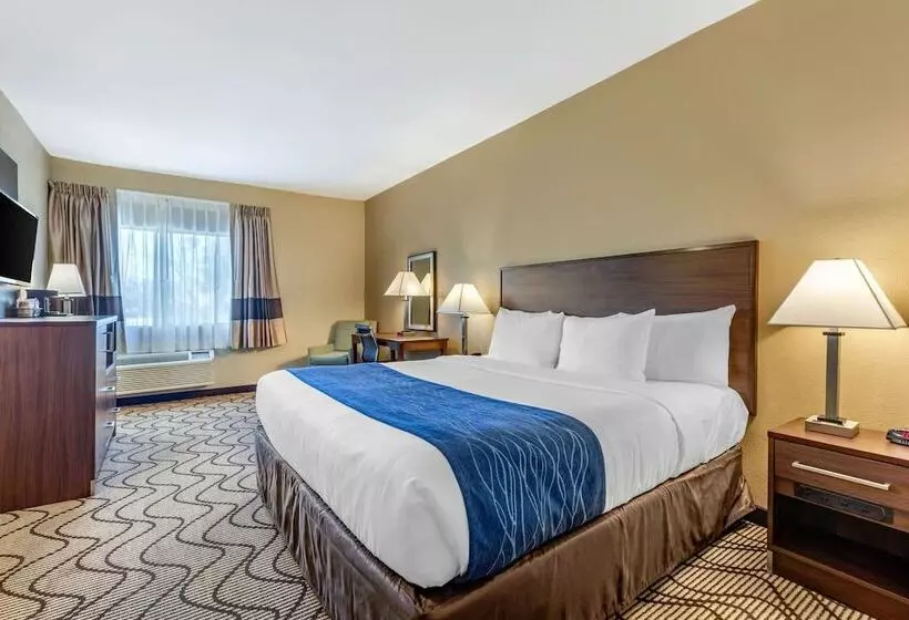 اتاق استاندارد با تخت بزرگ برای معلولان, Comfort Inn & Suites Orange County John Wayne Airport