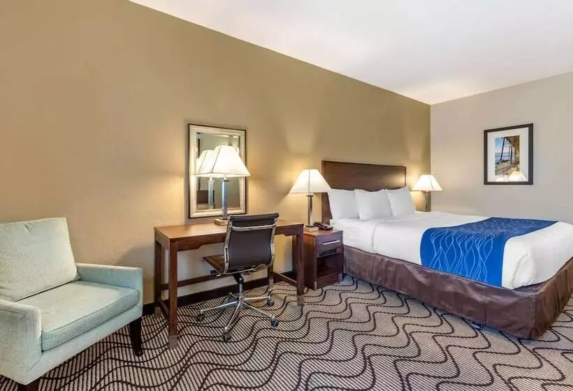 اتاق استاندارد با تخت بزرگ برای معلولان, Comfort Inn & Suites Orange County John Wayne Airport