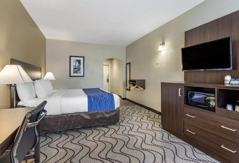 اتاق استاندارد با تخت بزرگ برای معلولان, Comfort Inn & Suites Orange County John Wayne Airport