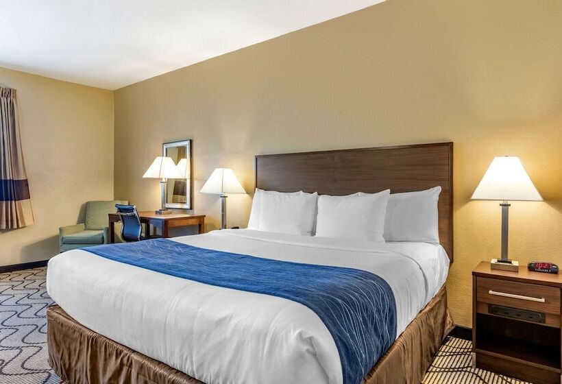 חדר סטנדרט, מיטת קינג, מותאם לאדם עם מוגבלויות, Comfort Inn & Suites Orange County John Wayne Airport