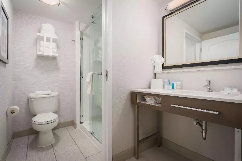 سوئیت با تخت بزرگ, Comfort Inn & Suites Orange County John Wayne Airport
