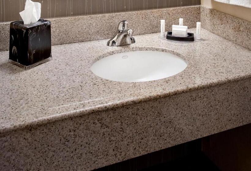 Стандартный Номер Кровать Кинг, Courtyard By Marriott Hartford Windsor Airport