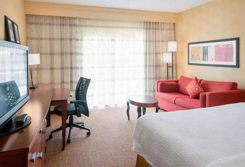 キングサイズベッドのスタンダードルーム, Courtyard By Marriott Chicago Naperville