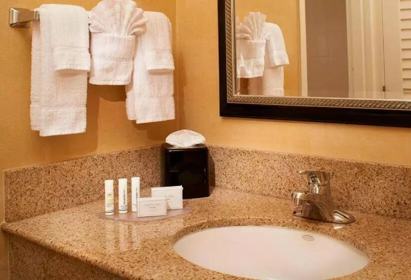 身障者適用キングサイズベッドルーム, Courtyard By Marriott Chicago Naperville