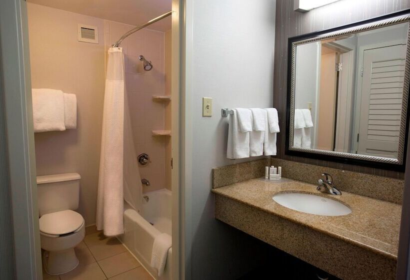 Номер Стандарт 2 Двуспальные Кровати, Courtyard Montgomery