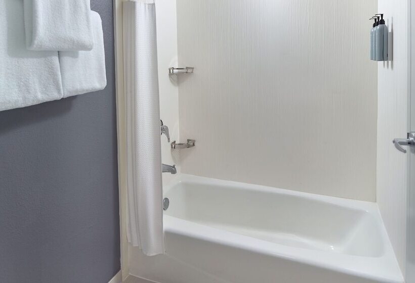 ２ダブルベッドのスタンダードルーム, Courtyard By Marriott Tallahassee Downtown/capital