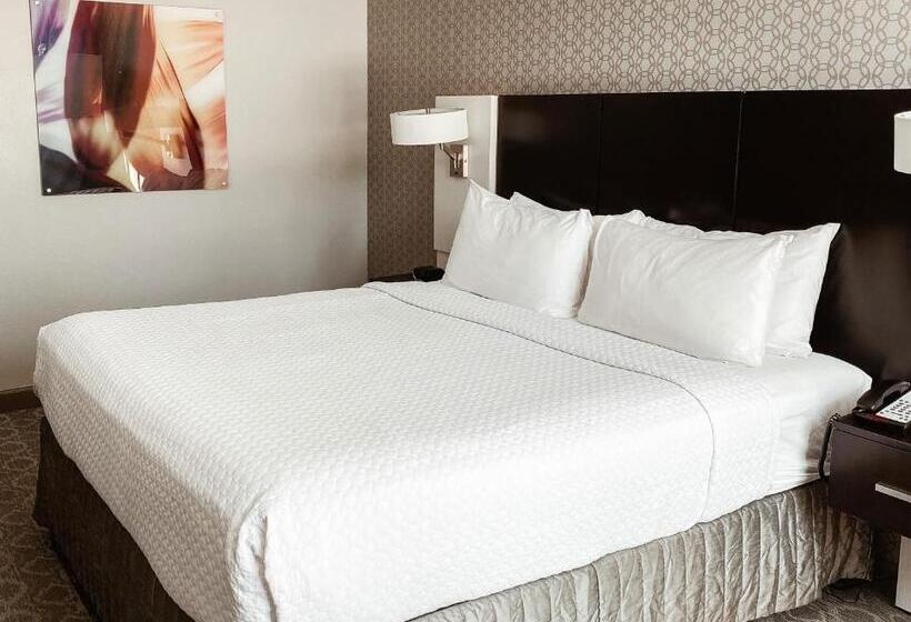 Standard Værelse King Size Seng, Crowne Plaza Chicago Sw   Burr Ridge, An Ihg
