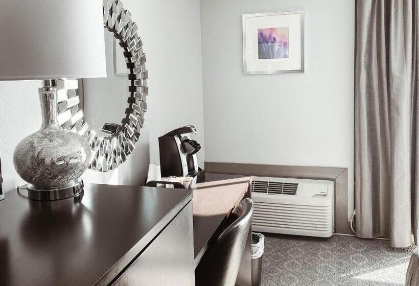 اتاق استاندارد با تخت بزرگ برای معلولان, Crowne Plaza Chicago Sw   Burr Ridge, An Ihg