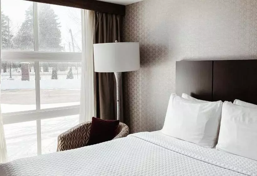 ハイドロマッサージバス付きスイート, Crowne Plaza Chicago Sw   Burr Ridge, An Ihg