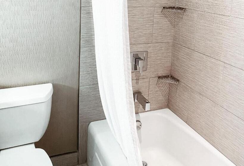 سوئیت با تخت بزرگ, Crowne Plaza Chicago Sw   Burr Ridge, An Ihg