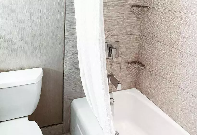 キングサイズベッドのスタンダードルーム, Crowne Plaza Chicago Sw   Burr Ridge, An Ihg