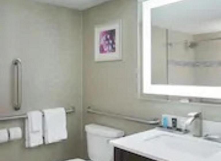 اتاق استاندارد با تخت بزرگ برای معلولان, Crowne Plaza Chicago Sw   Burr Ridge, An Ihg