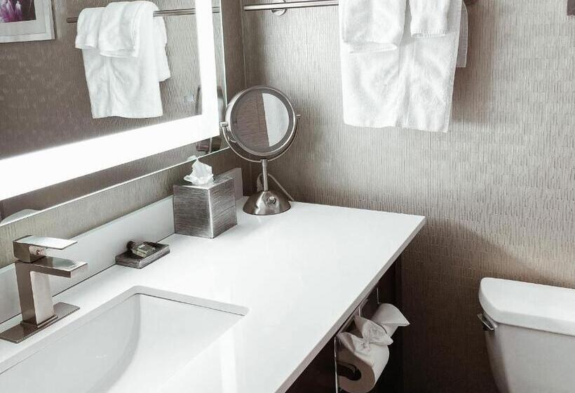 Standard Værelse Tilpasset til Handicappede, Crowne Plaza Chicago Sw   Burr Ridge, An Ihg