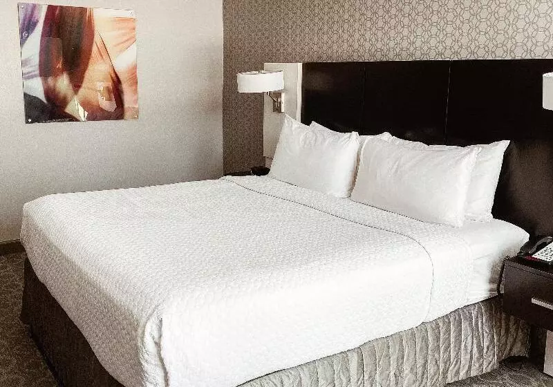身障者適用スタンダードルーム, Crowne Plaza Chicago Sw   Burr Ridge, An Ihg