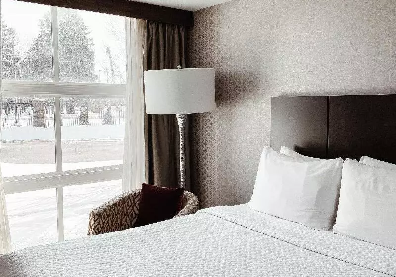 ハイドロマッサージバス付きスイート, Crowne Plaza Chicago Sw   Burr Ridge, An Ihg
