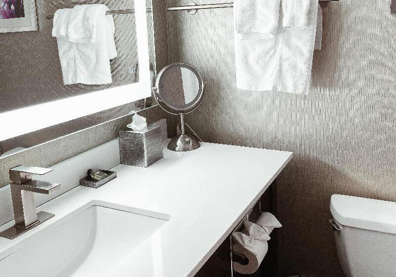 سوئیت با وان آب گرم, Crowne Plaza Chicago Sw   Burr Ridge, An Ihg