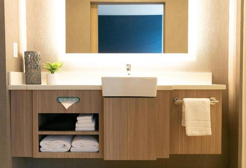 Люкс Кровать Кинг, Springhill Suites By Marriott South Bend Notre Dame Area