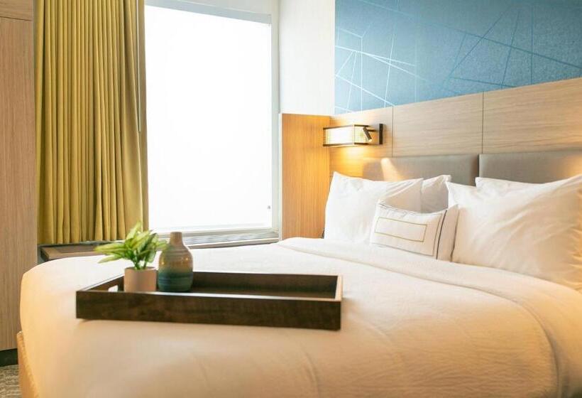 Suite Cama King, Springhill Suites By Marriott South Bend Notre Dame Area