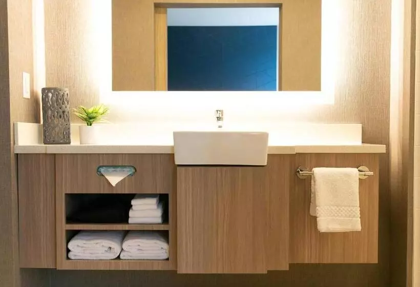 スイート, Springhill Suites By Marriott South Bend Notre Dame Area