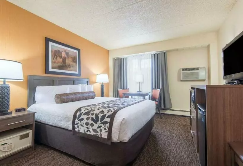 اتاق استاندارد با تخت بزرگ, Days Inn & Suites By Wyndham Bozeman