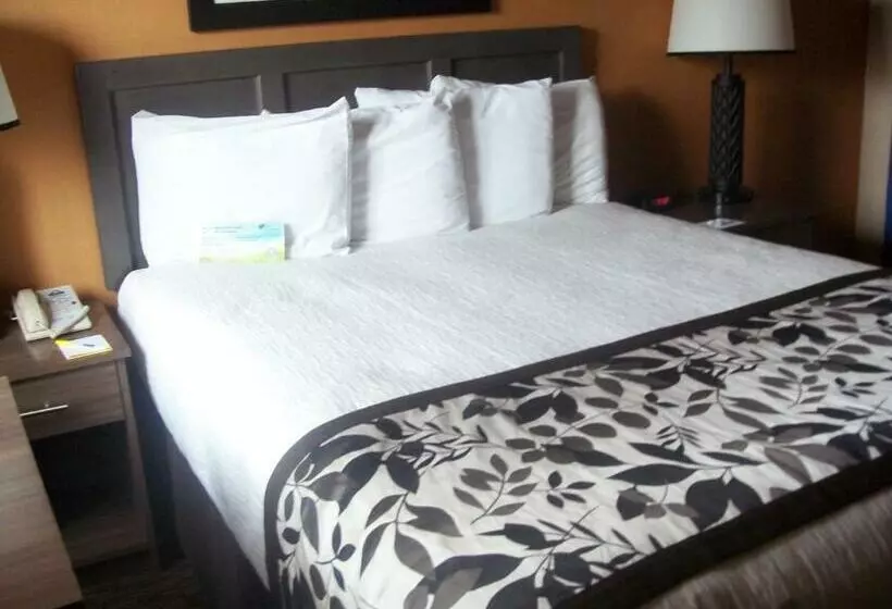 اتاق استاندارد, Days Inn & Suites By Wyndham Bozeman