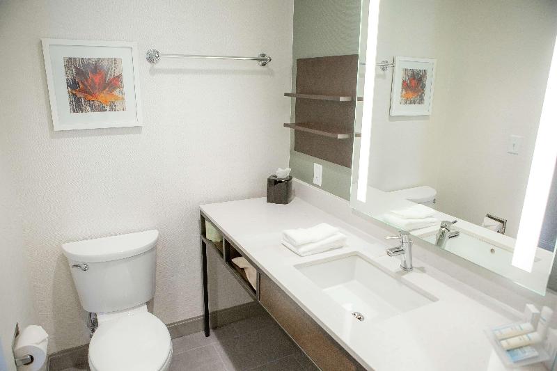 프리미엄 룸, Hilton Garden Inn Corning Downtown