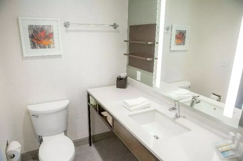 Premium-huone, Hilton Garden Inn Corning Downtown