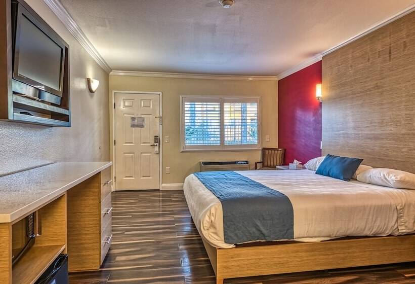 اتاق سوپریور, Hollywood City Inn