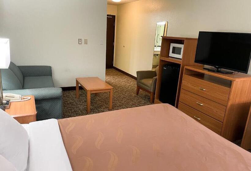 Номер Стандарт Адаптированный для Инвалидов, Hudson Inn & Suites