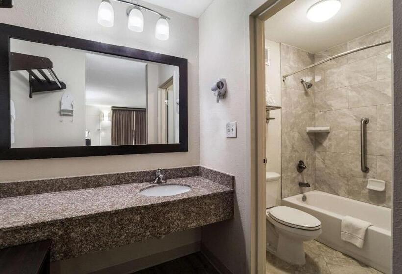 Номер Стандарт 2 Двуспальные Кровати, Quality Inn Coliseum