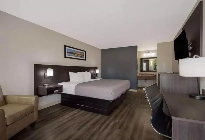 اتاق استاندارد با تخت بزرگ, Quality Inn Coliseum