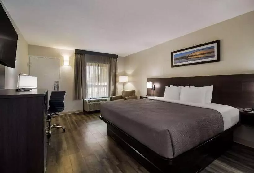 اتاق استاندارد با تخت بزرگ, Quality Inn Coliseum