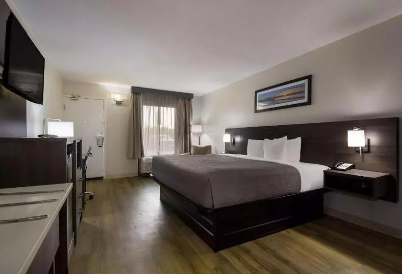 اتاق استاندارد با تخت بزرگ, Quality Inn Coliseum