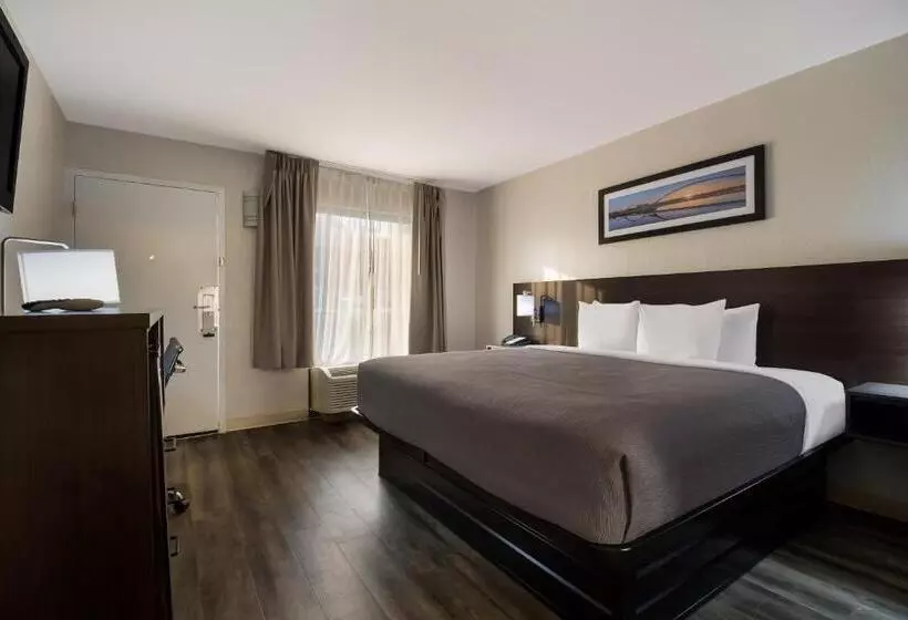 اتاق استاندارد با تخت بزرگ برای معلولان, Quality Inn Coliseum