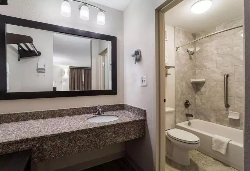 اتاق استاندارد با تخت بزرگ برای معلولان, Quality Inn Coliseum