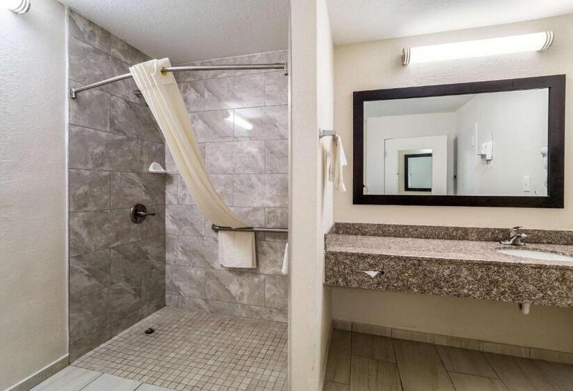 Номер Стандарт Кровать Кинг Адаптированный для Инвалидов, Quality Inn Coliseum