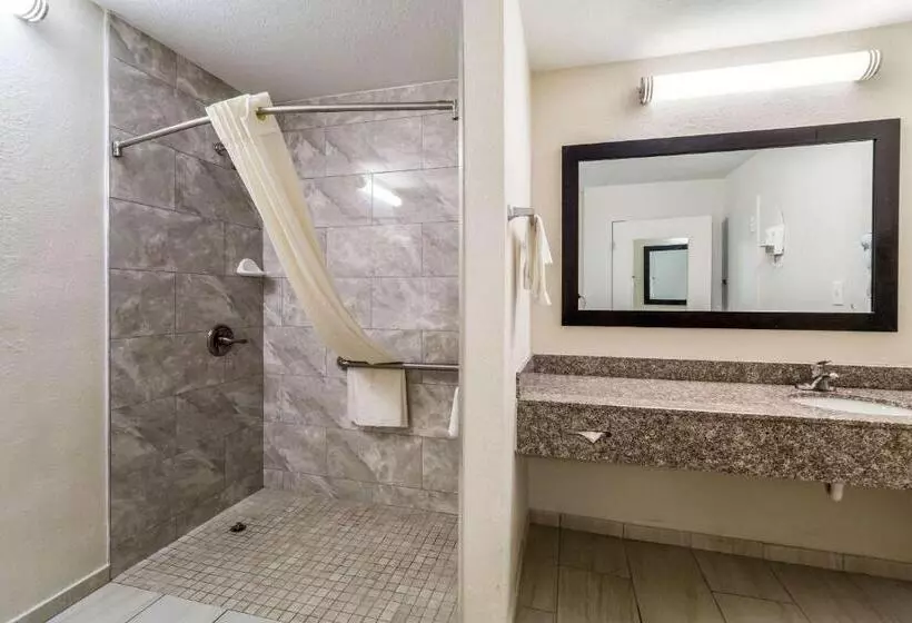 اتاق استاندارد با تخت بزرگ برای معلولان, Quality Inn Coliseum