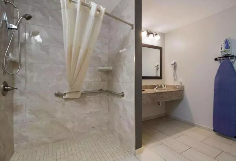 اتاق استاندارد با تخت بزرگ برای معلولان, Quality Inn Coliseum