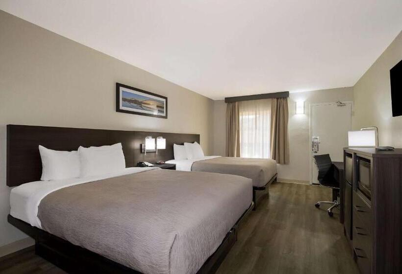 Четырехместный Номер Стандарт, Quality Inn Coliseum