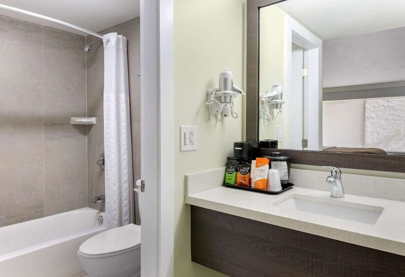 غرفه قياسيه سريرين مزدوجين, Quality Inn University North I75