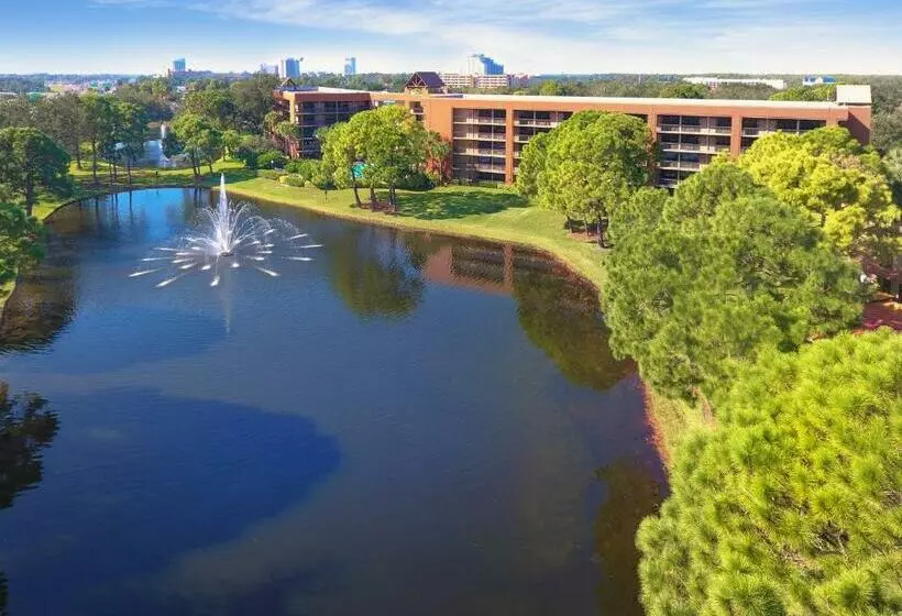 اتاق لوکس, Rosen Inn Lake Buena Vista