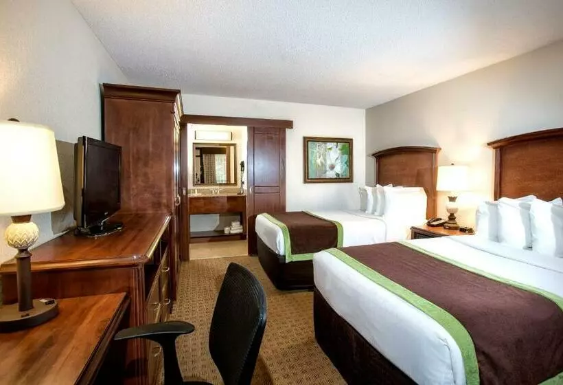 اتاق لوکس, Rosen Inn Lake Buena Vista
